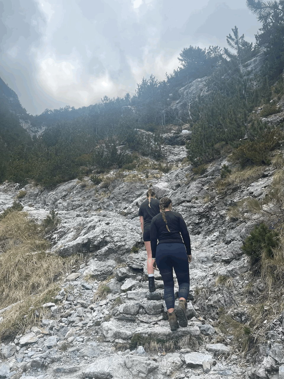 Man sieht zwei Frauen die einem Wanderweg folgen. Der Weg ist sehr steinig, trotzdem ist eine Treppe zu erahnen. Ihr Haare sind zusammengefasst in einem geflochtenen Zopf. Zu den Seiten des Weges sieht man vereinzelt kleine Bäume, die in der Ferne dichter und größer werden.