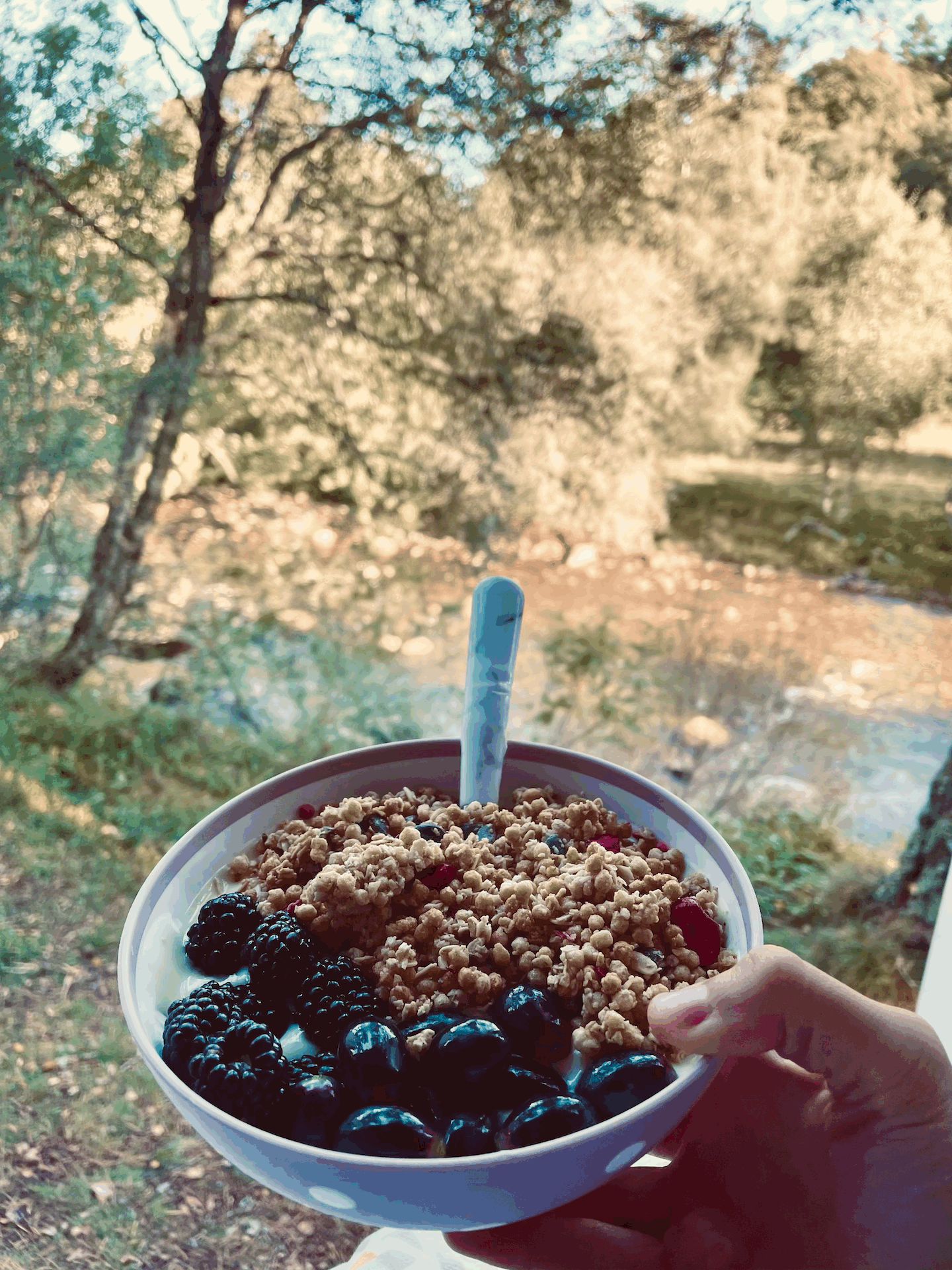 Eine Frühstücksbowl mit Müsli und Früchten. Du blickst direkt aus dem Camper heraus auf einen Bach.