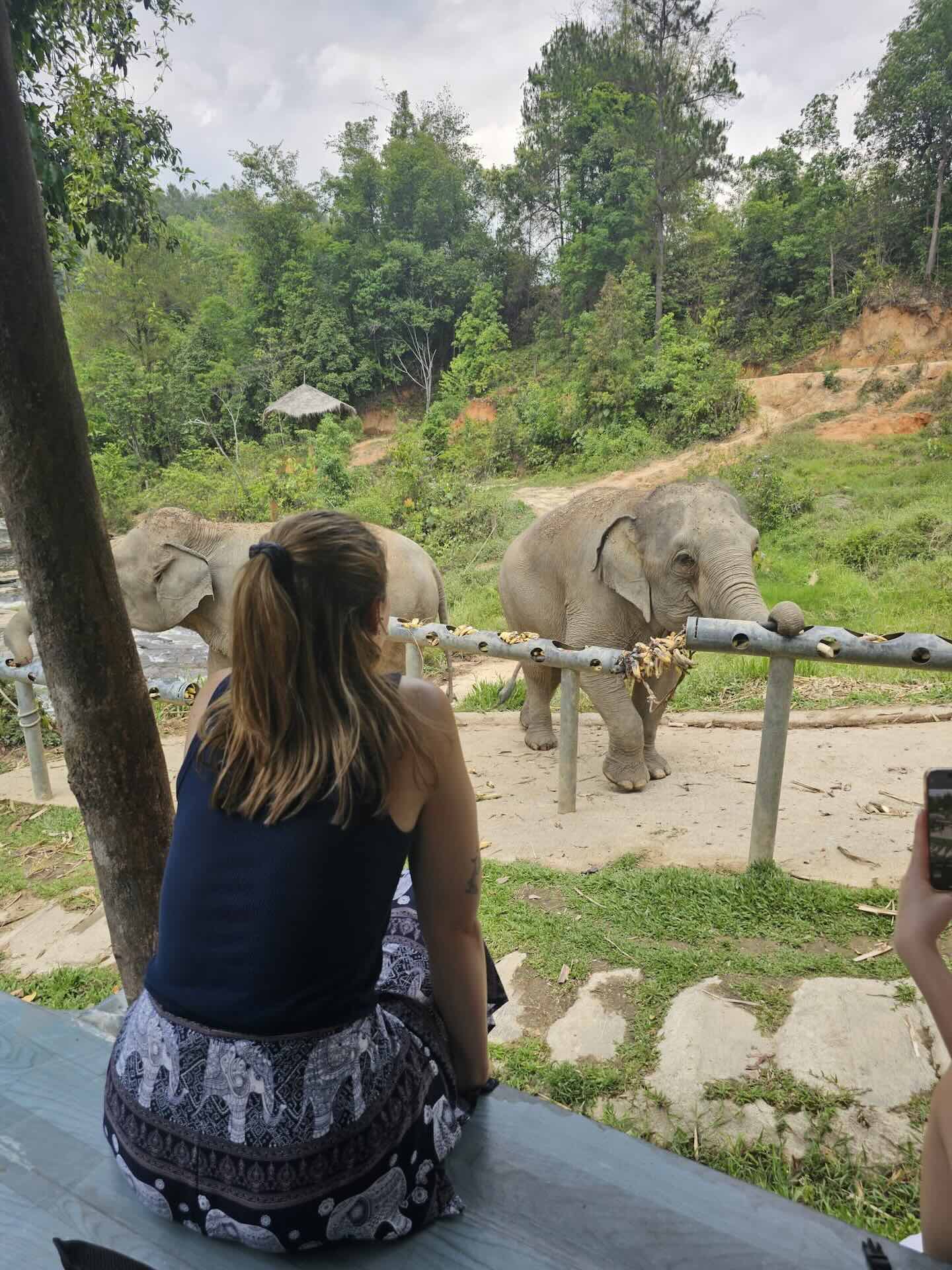 Chiang Mai: Welche Aktivitäten, Geheimtipps und Must Do's