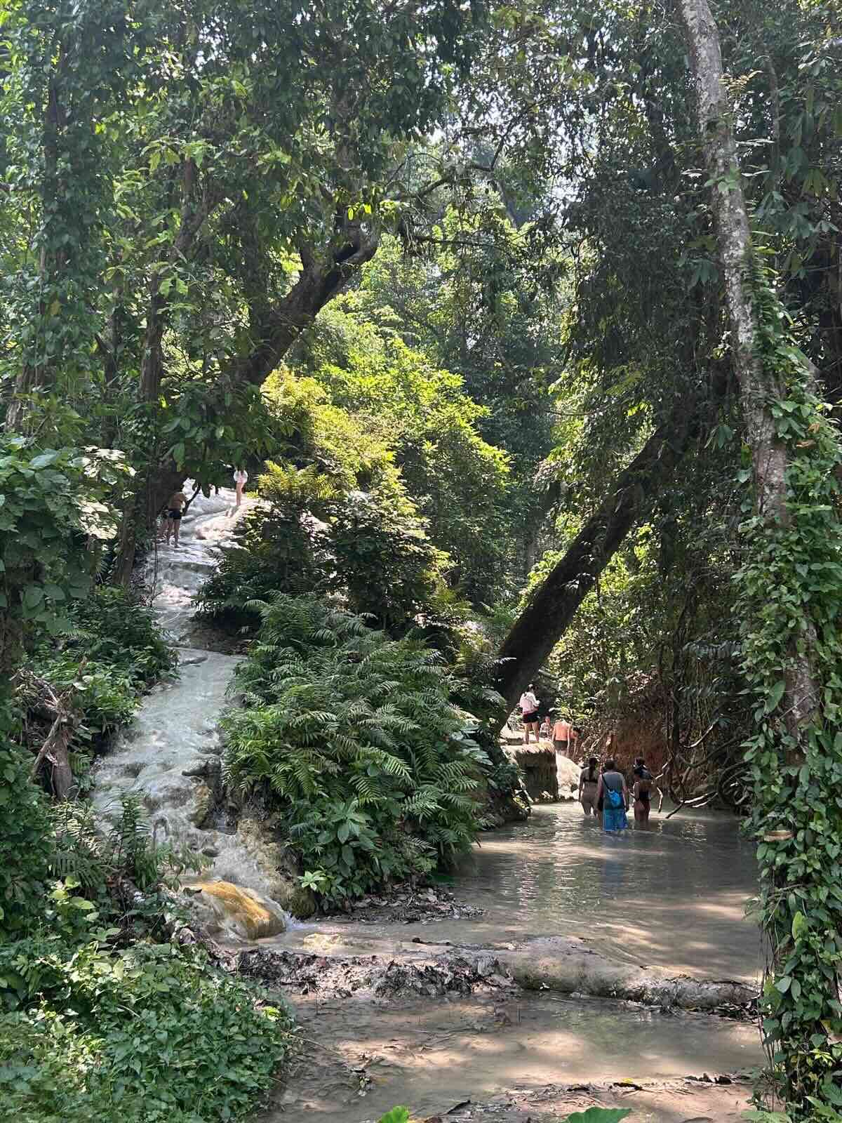 Chiang Mai: Welche Aktivitäten, Geheimtipps und Must Do's