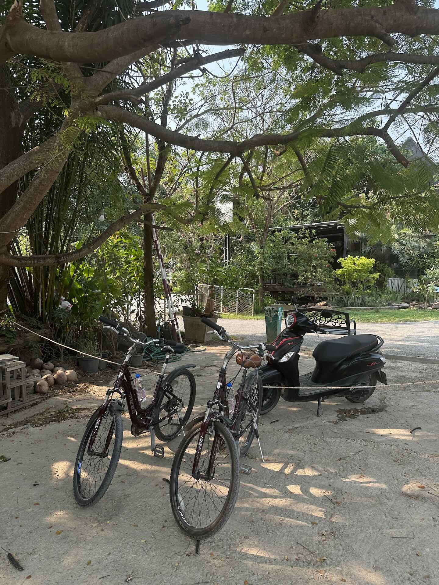 Chiang Mai: Welche Aktivitäten, Geheimtipps und Must Do's