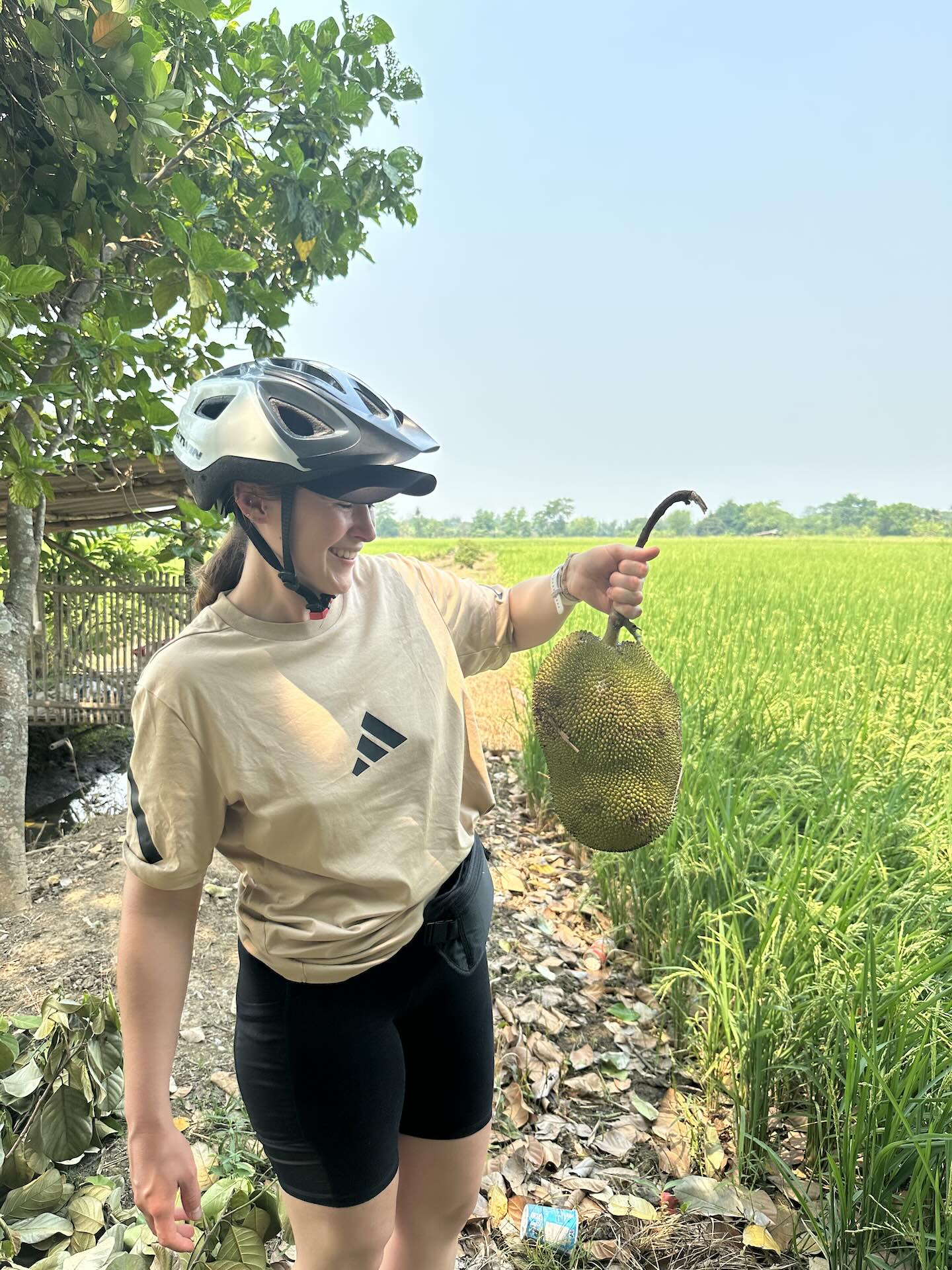 Chiang Mai: Welche Aktivitäten, Geheimtipps und Must Do's
