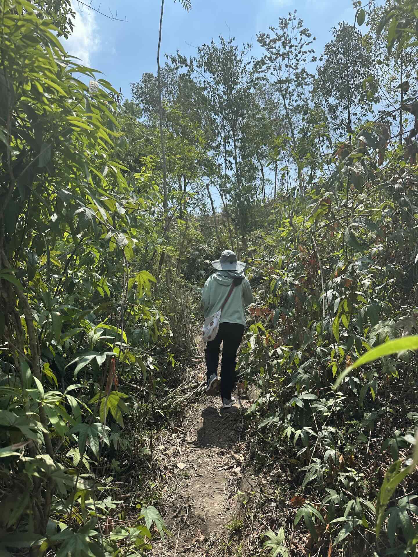 Chiang Mai: Welche Aktivitäten, Geheimtipps und Must Do's