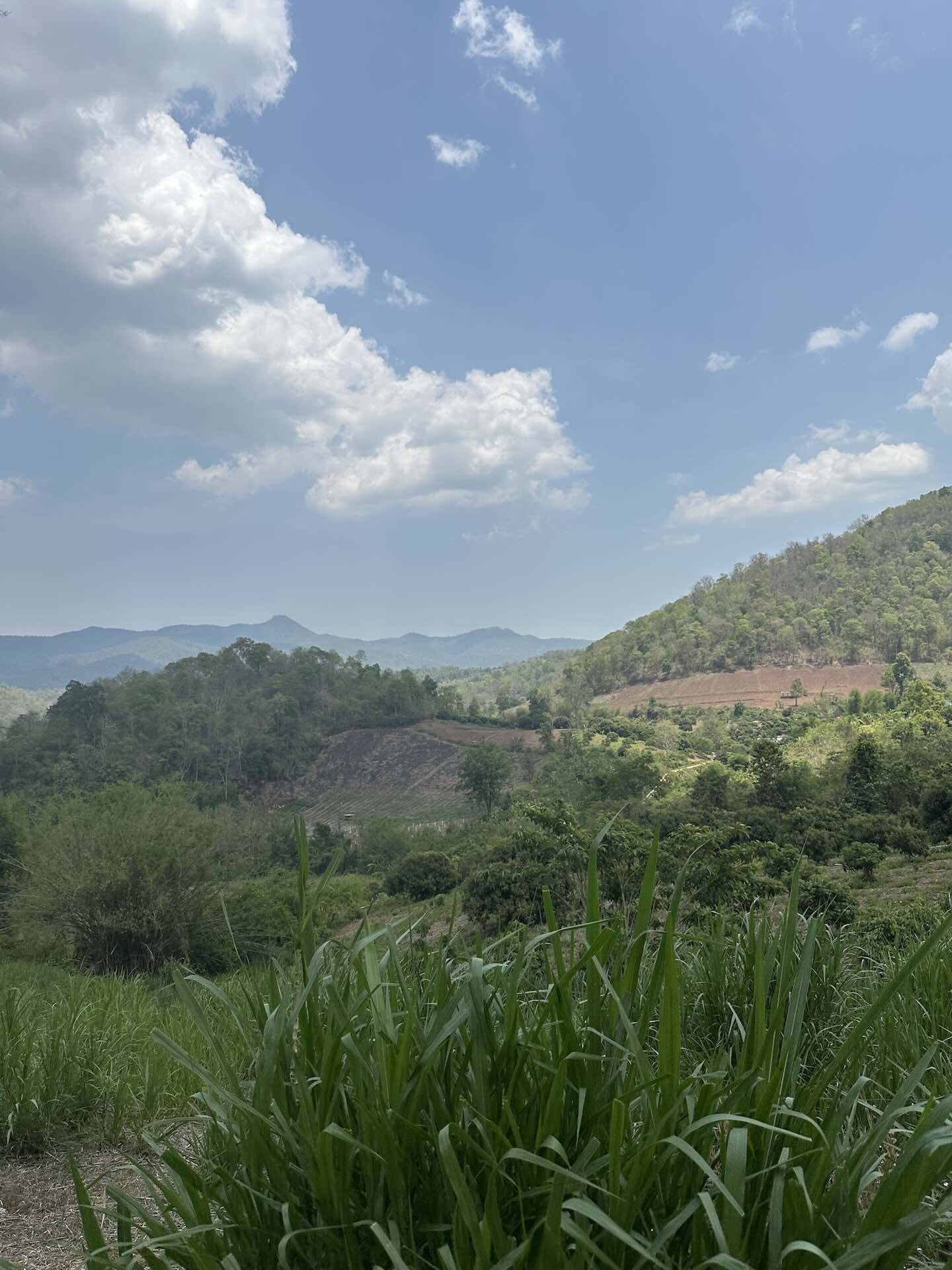 Chiang Mai: Welche Aktivitäten, Geheimtipps und Must Do's