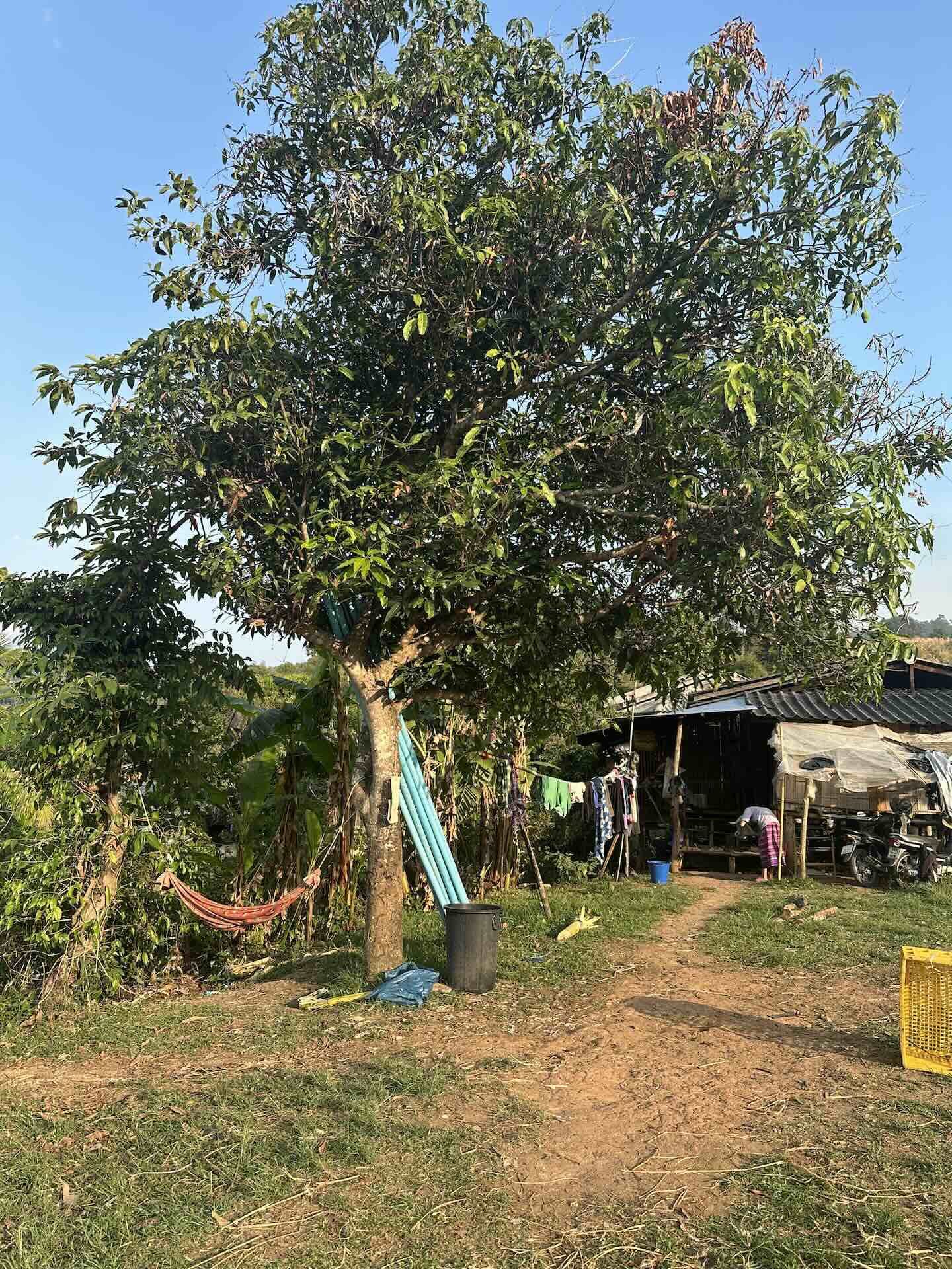 Chiang Mai: Welche Aktivitäten, Geheimtipps und Must Do's