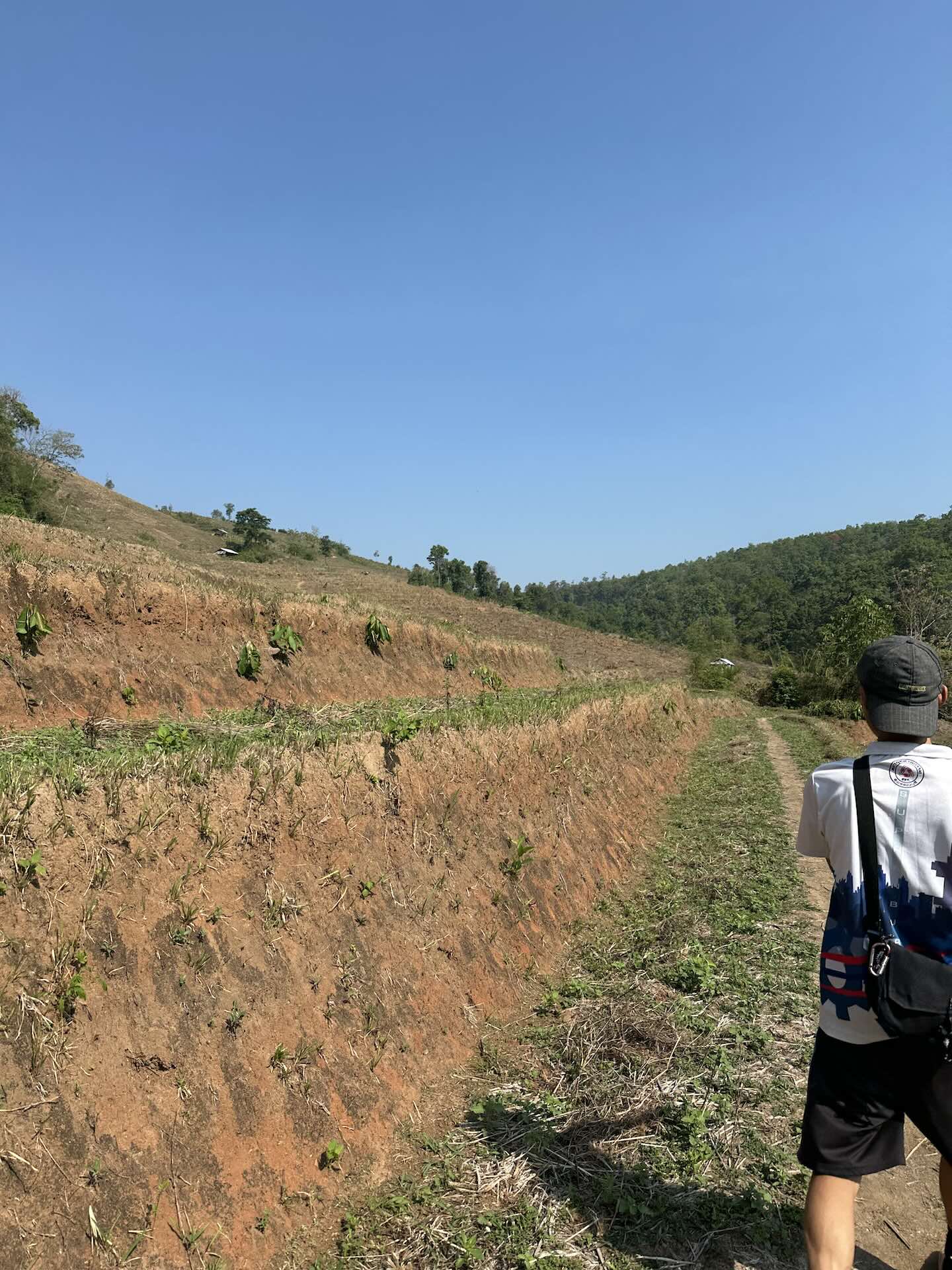 Chiang Mai: Welche Aktivitäten, Geheimtipps und Must Do's