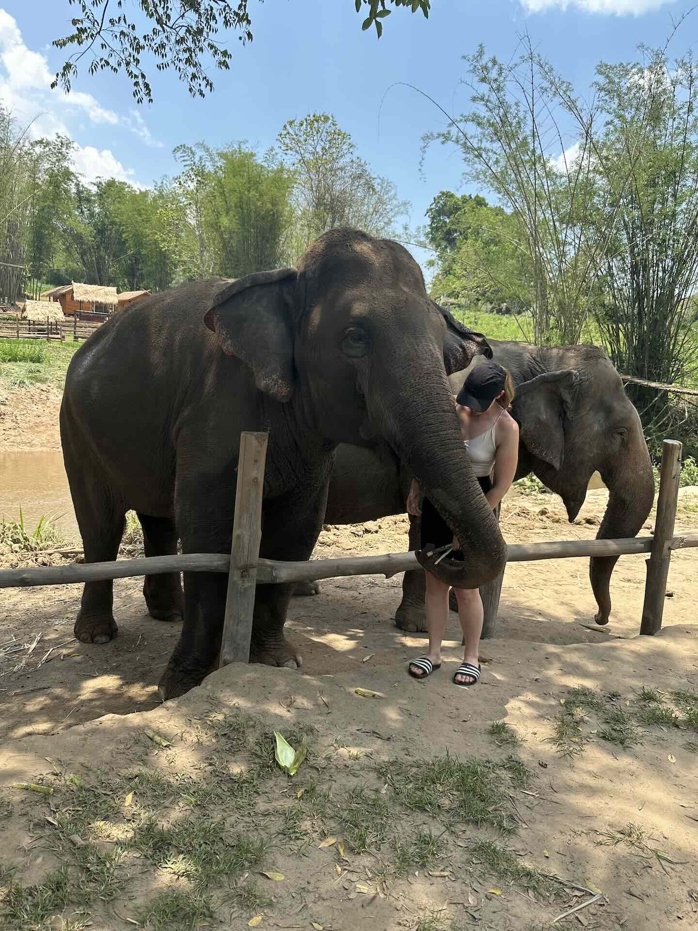 Chiang Mai: Welche Aktivitäten, Geheimtipps und Must Do's