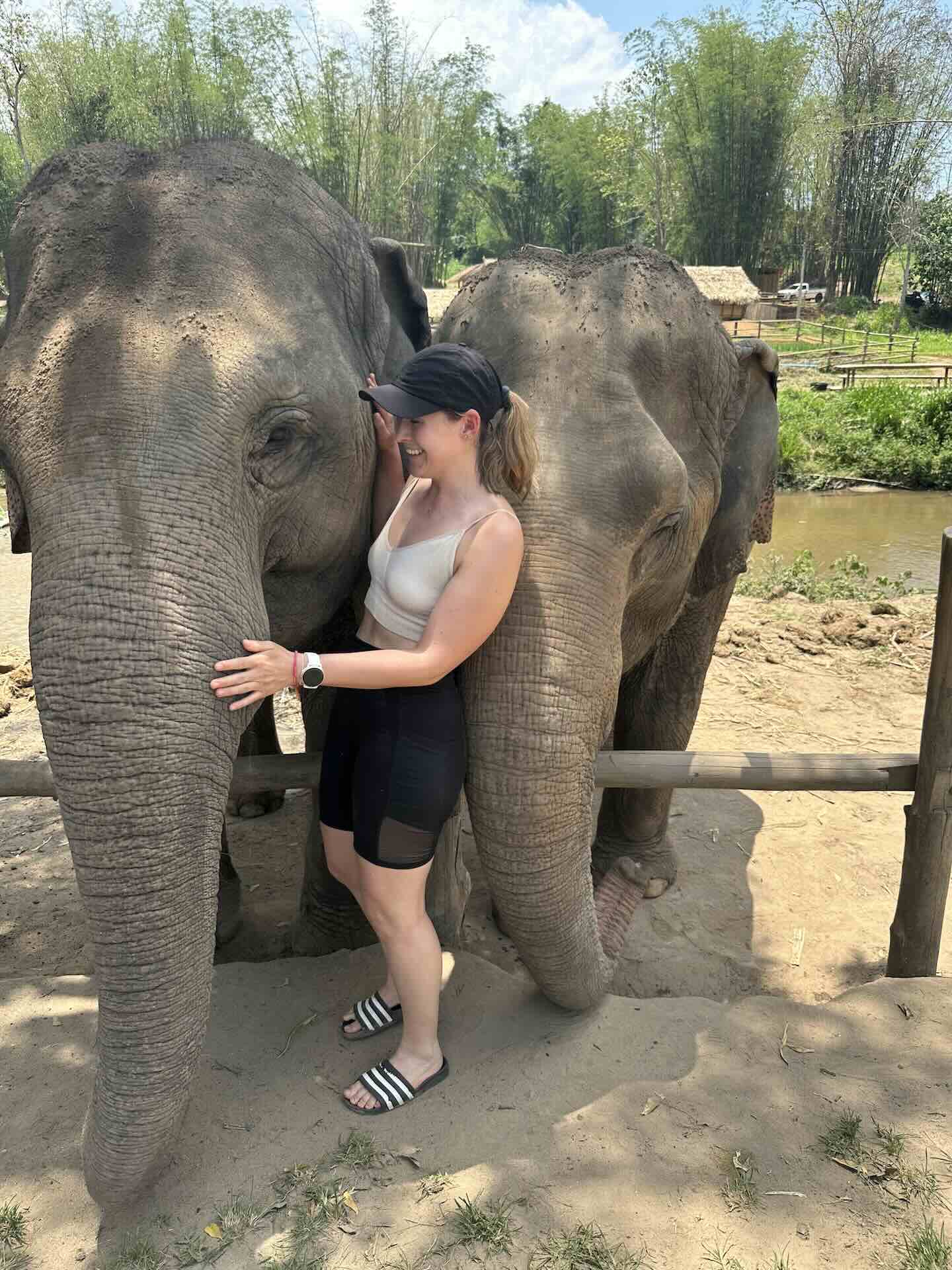 Chiang Mai: Welche Aktivitäten, Geheimtipps und Must Do's