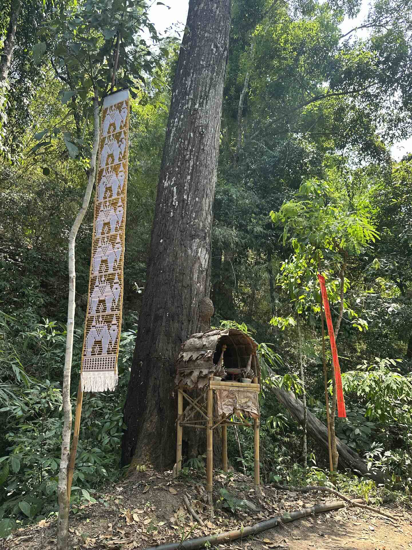 Chiang Mai: Wanderung zum Wat Pha Lat und Wat Phra That Doi Suthep (Monks Trail)