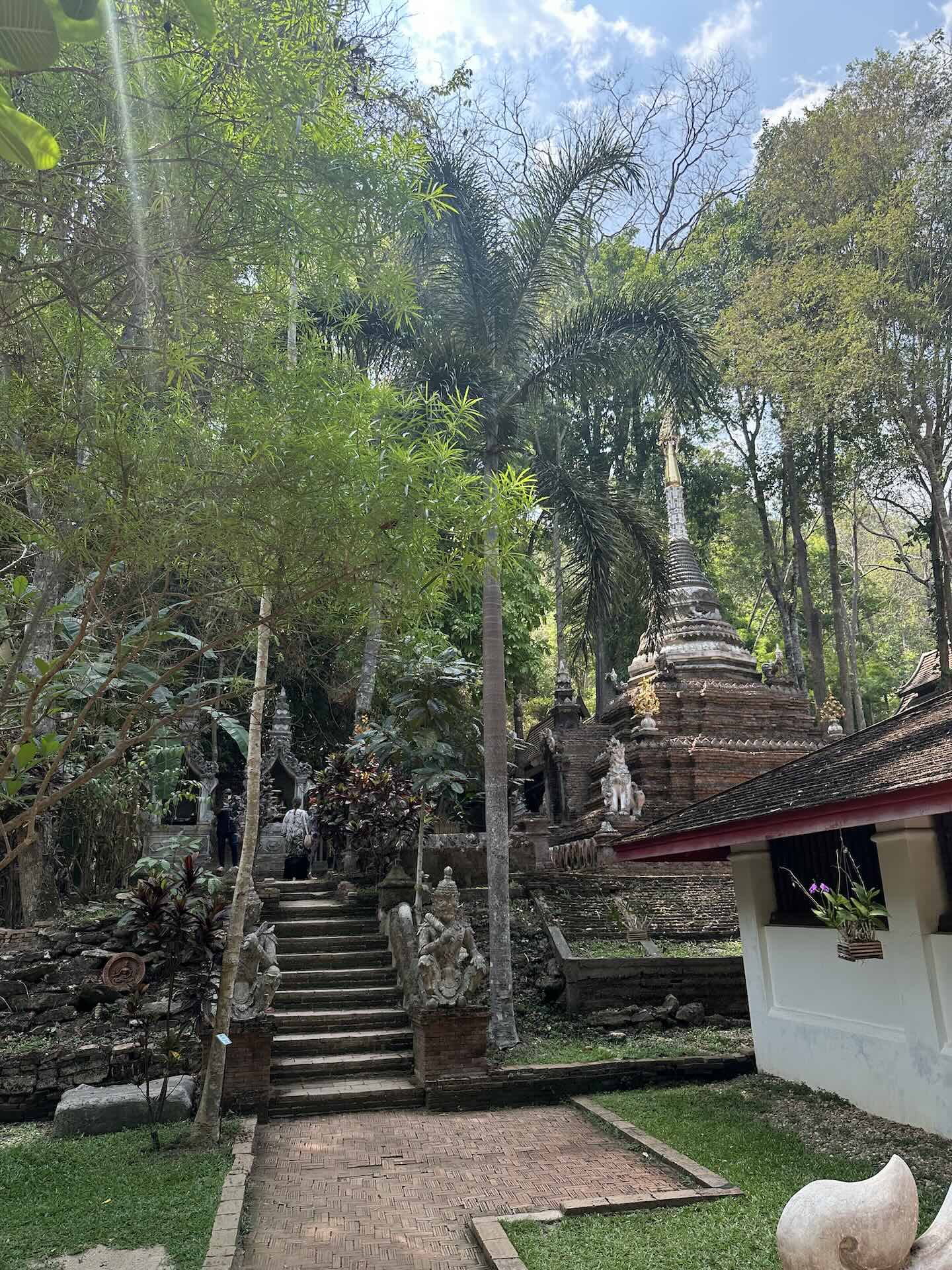 Chiang Mai: Wanderung zum Wat Pha Lat und Wat Phra That Doi Suthep (Monks Trail)