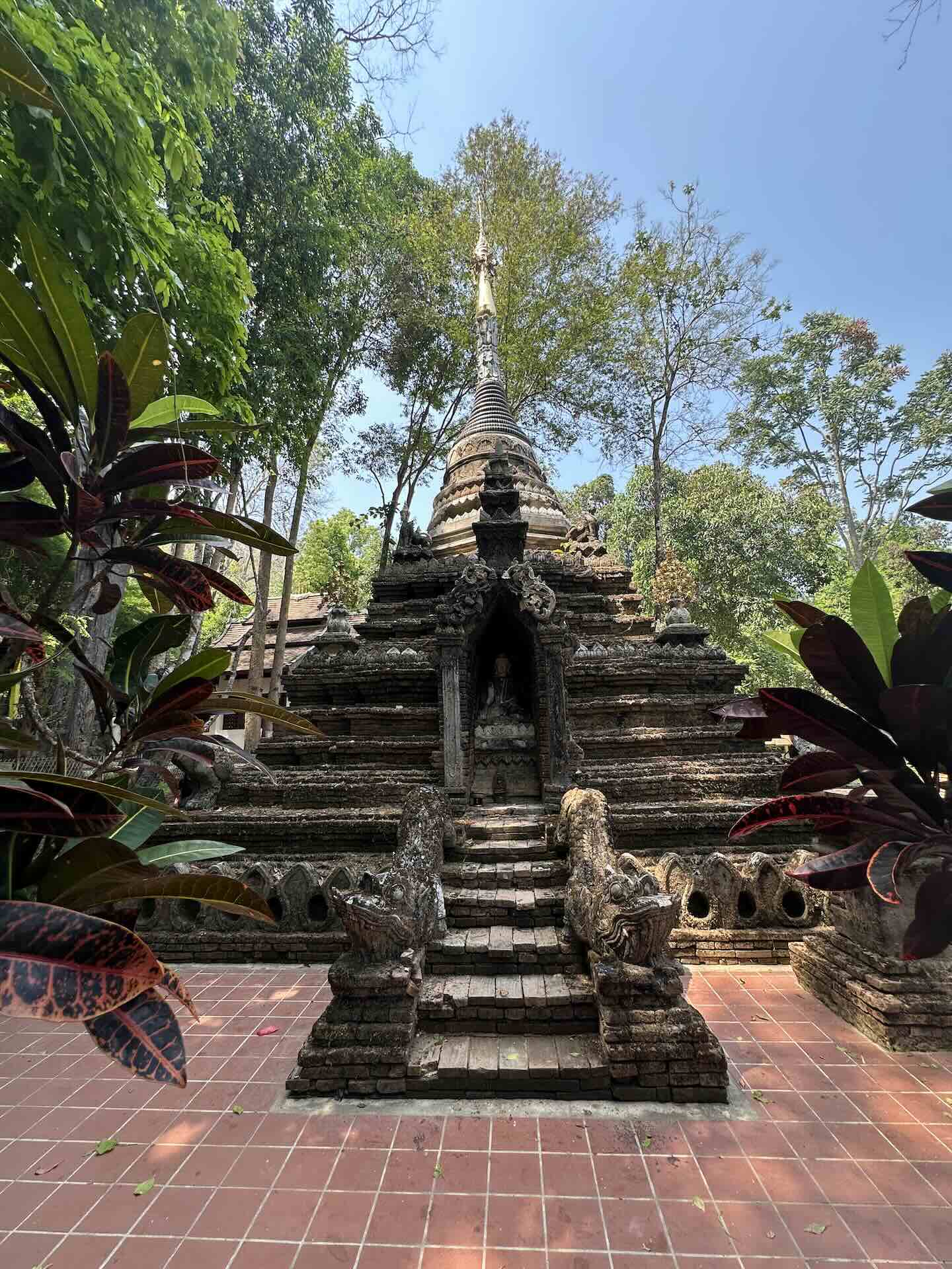 Chiang Mai: Wanderung zum Wat Pha Lat und Wat Phra That Doi Suthep (Monks Trail)