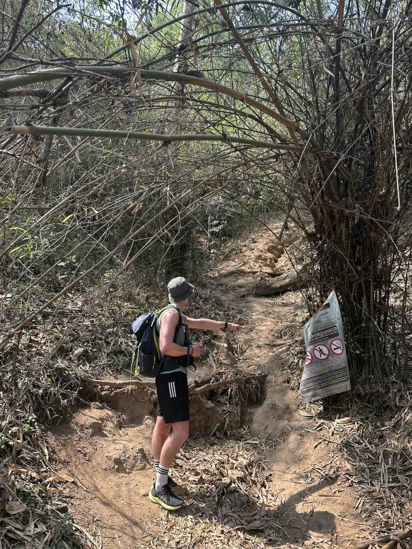 Chiang Mai: Wanderung zum Wat Pha Lat und Wat Phra That Doi Suthep (Monks Trail)