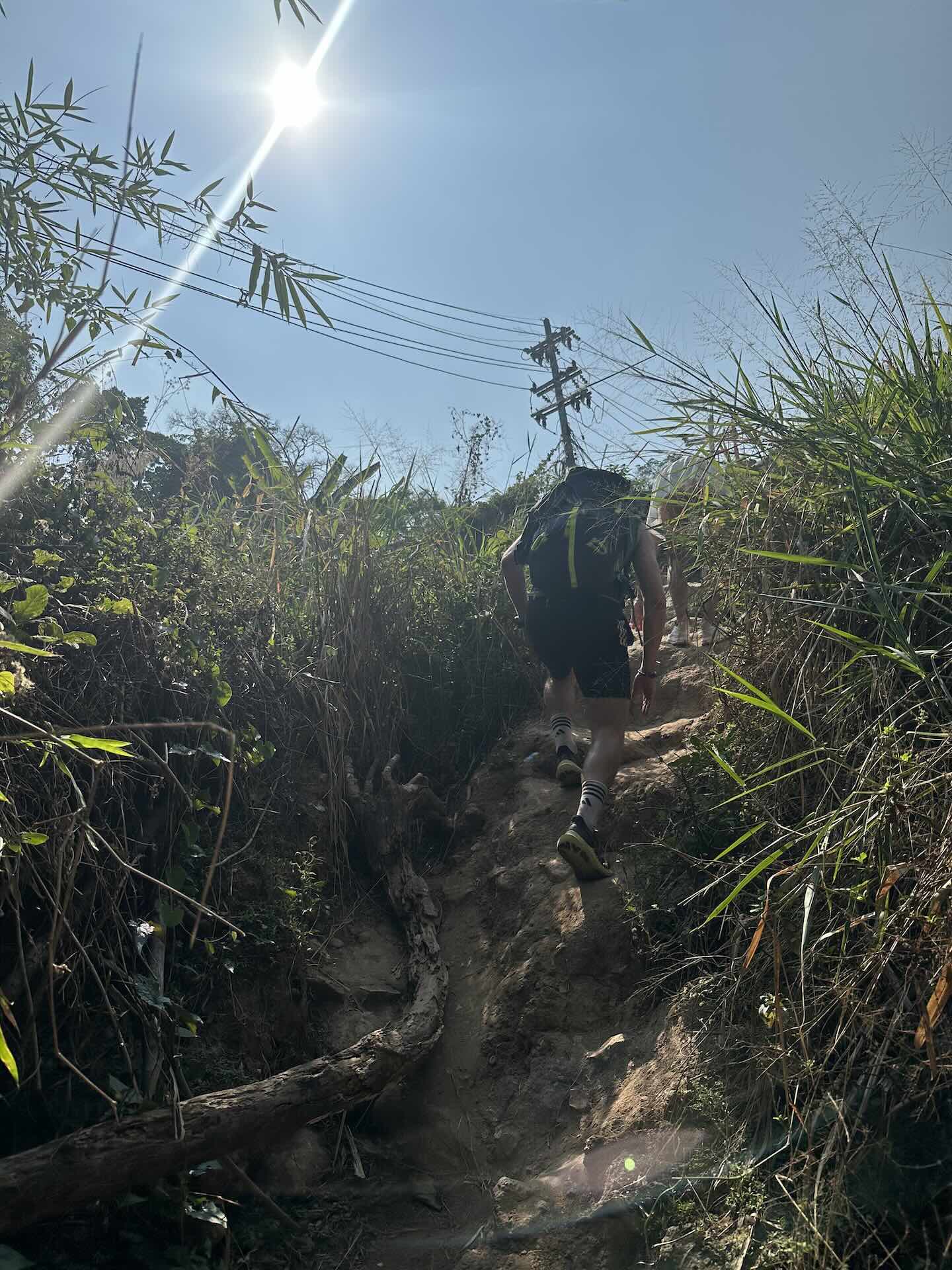 Chiang Mai: Wanderung zum Wat Pha Lat und Wat Phra That Doi Suthep (Monks Trail)