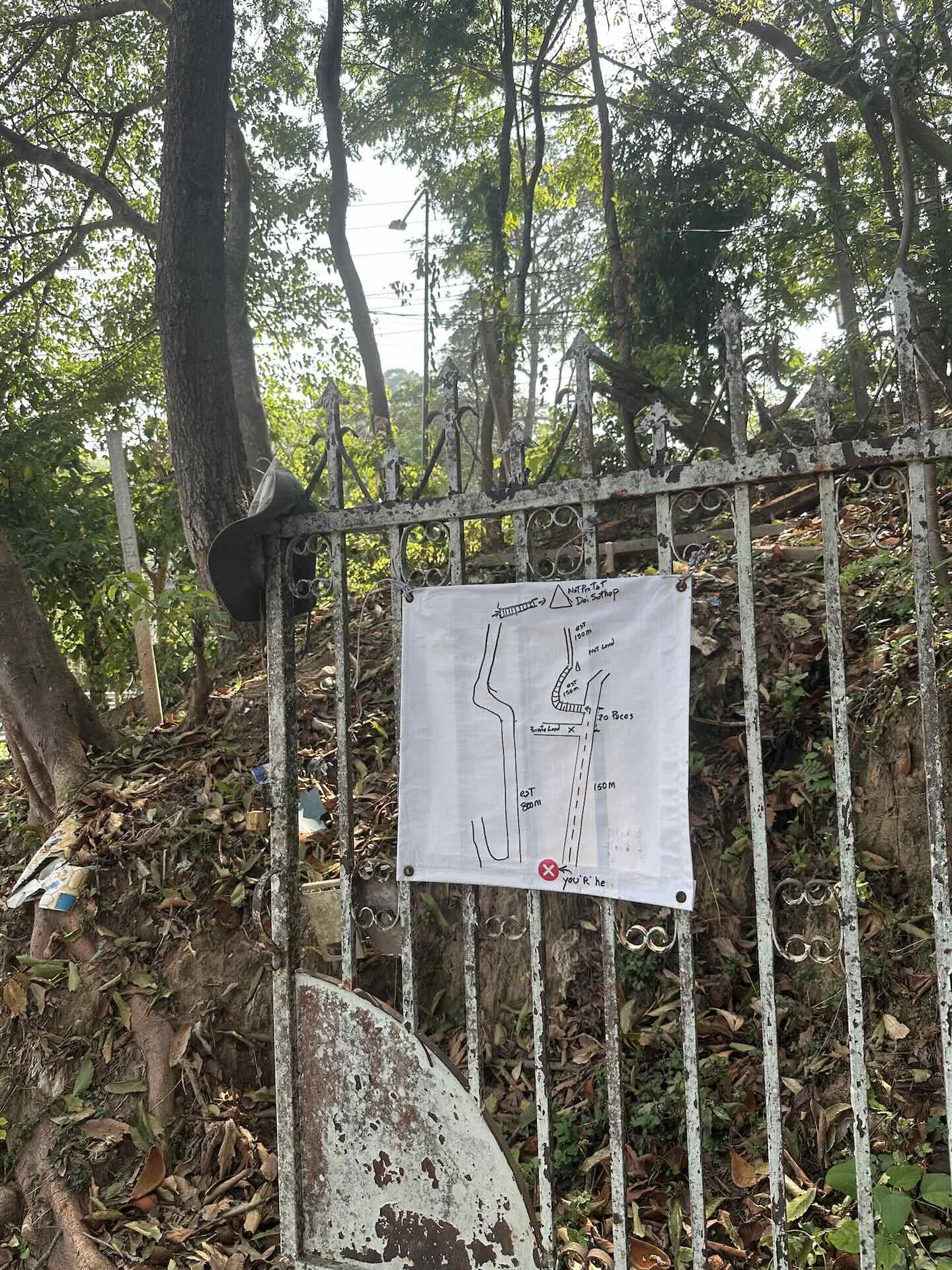 Chiang Mai: Wanderung zum Wat Pha Lat und Wat Phra That Doi Suthep (Monks Trail)