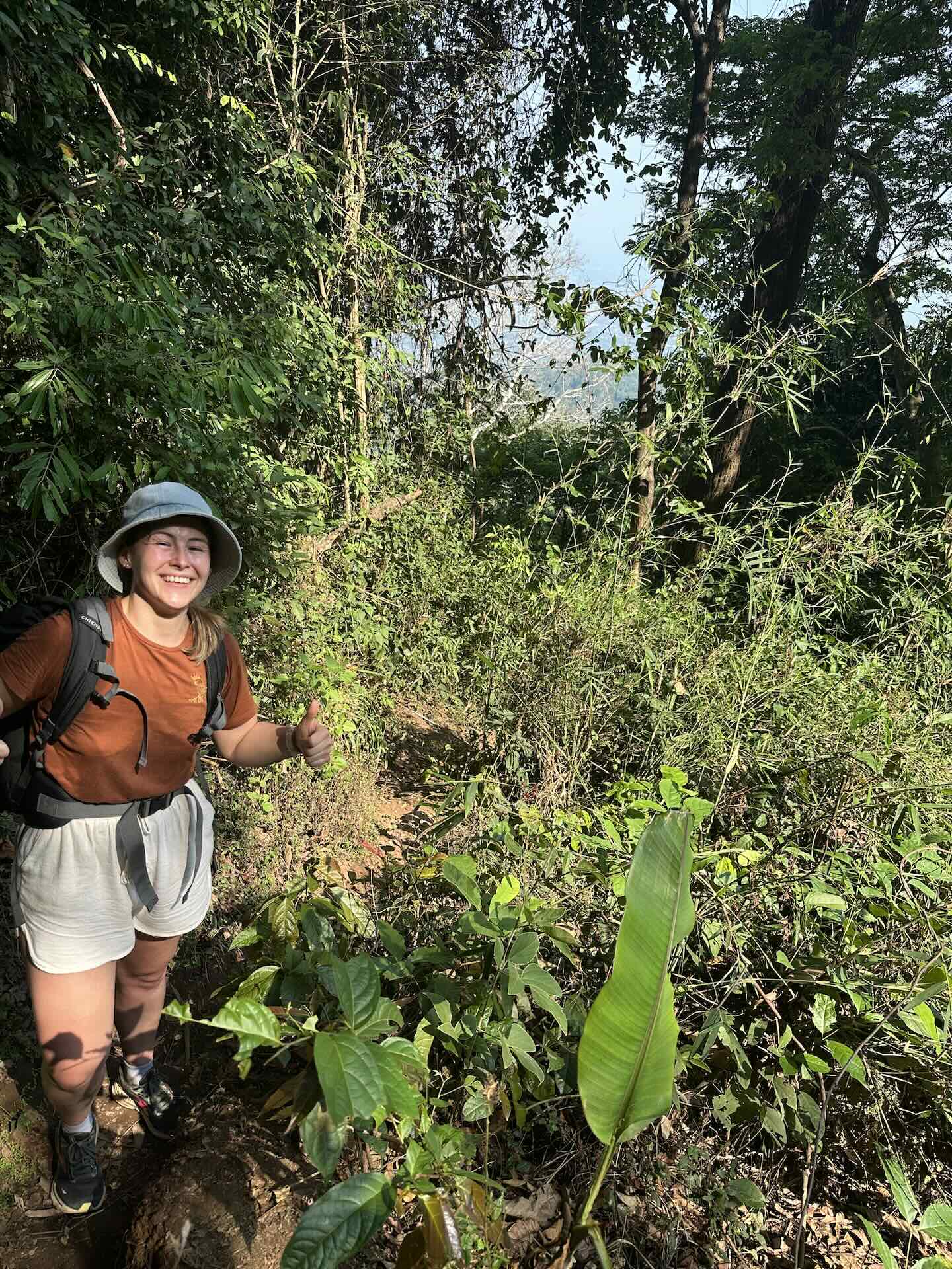 Chiang Mai: Wanderung zum Wat Pha Lat und Wat Phra That Doi Suthep (Monks Trail)