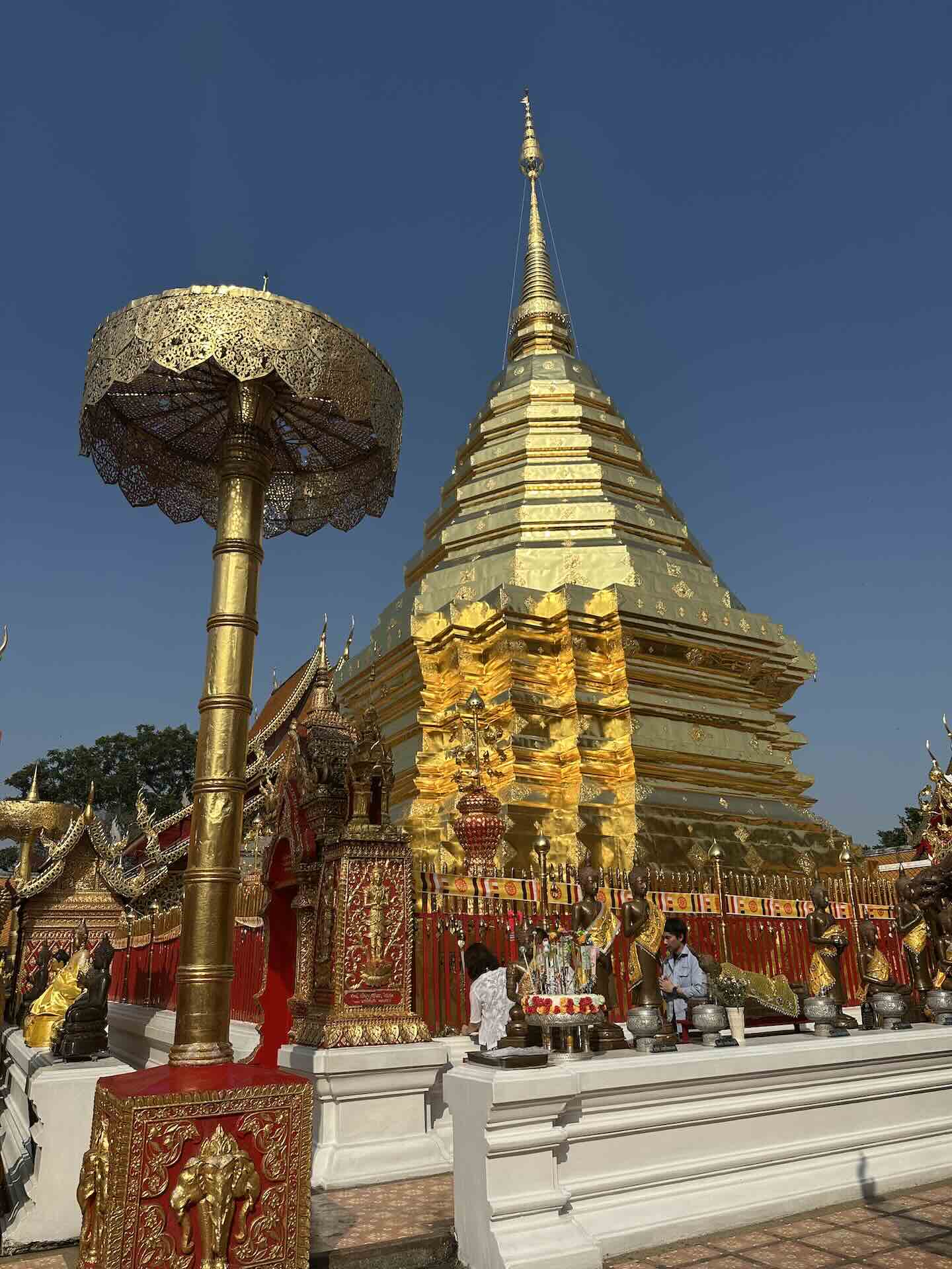 Chiang Mai: Wanderung zum Wat Pha Lat und Wat Phra That Doi Suthep (Monks Trail)