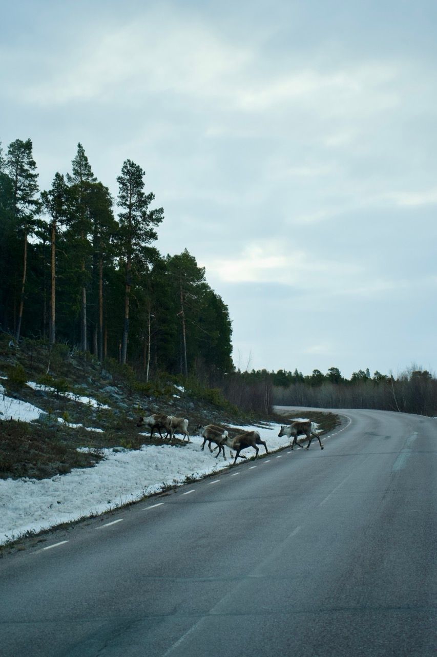 Mit dem Camper durch Schweden & Norwegen