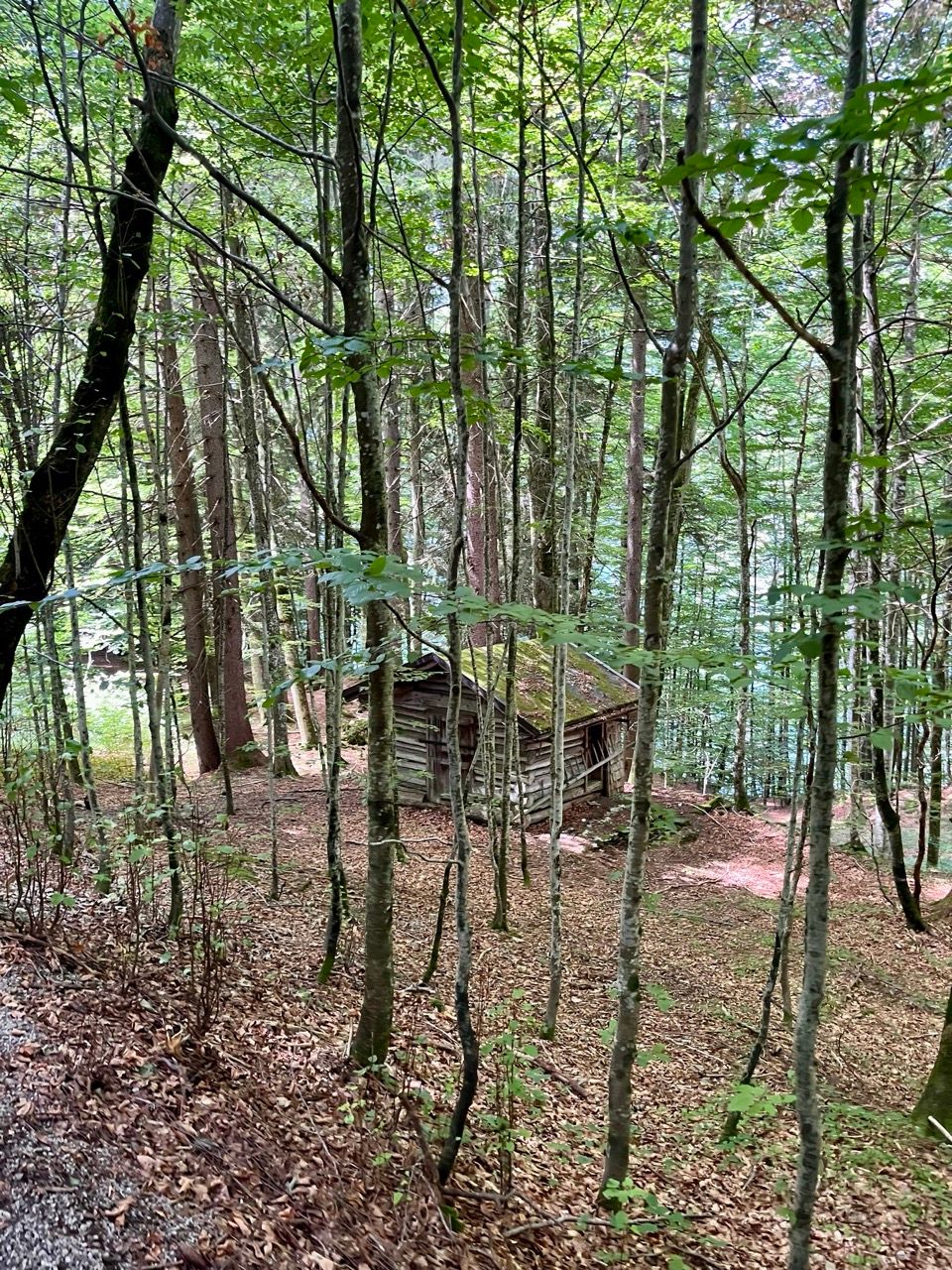 4-Tageswanderung durch die Allgäuer Hochalpen