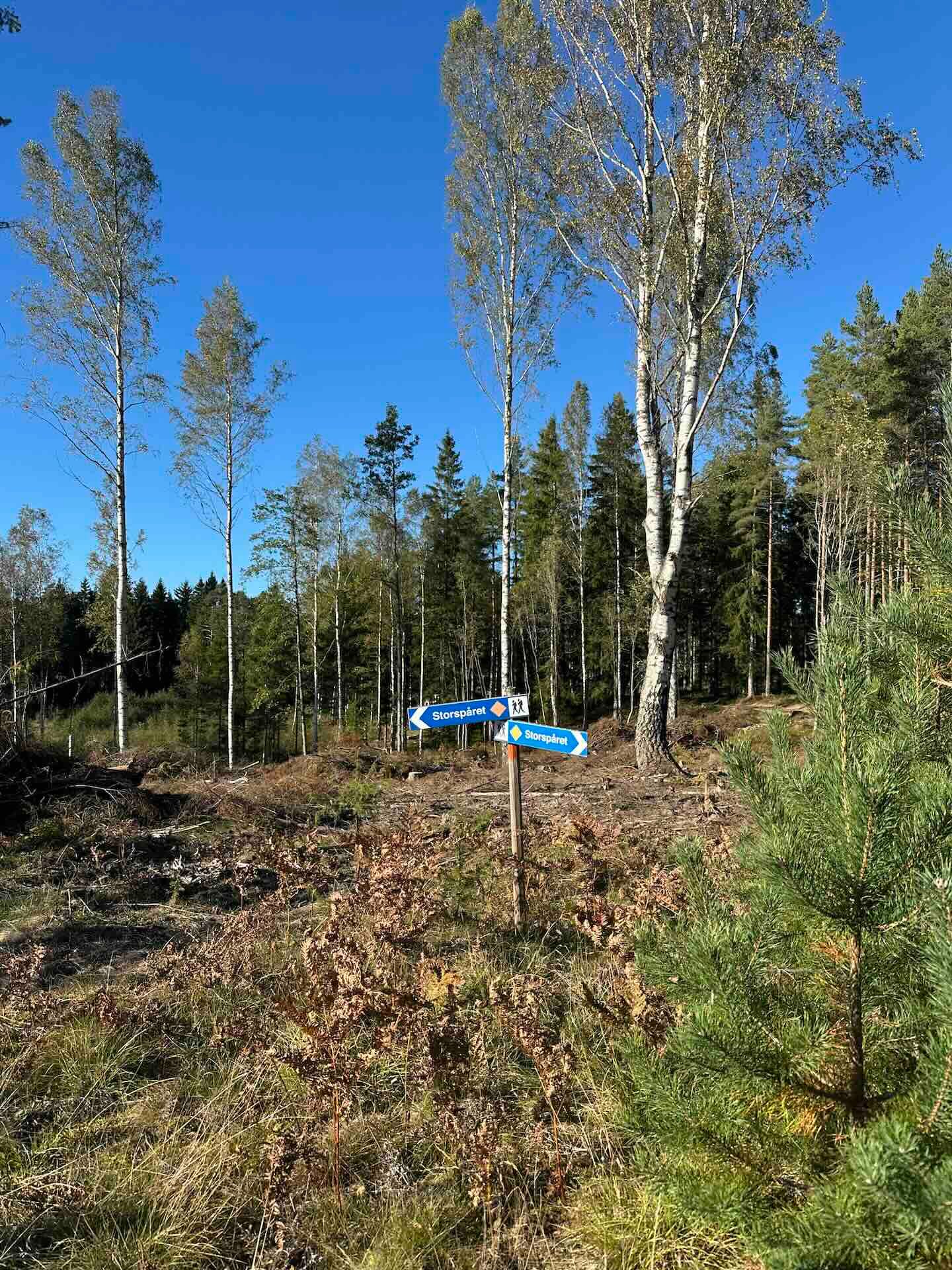 Viertägige Wanderung durch Schweden entlang des Pilgrimsleden Dalsland