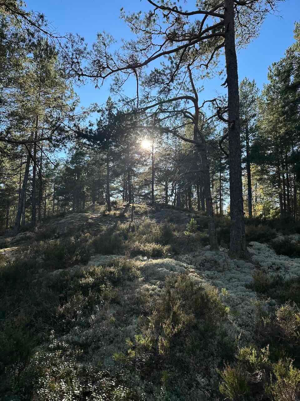 Viertägige Wanderung durch Schweden entlang des Pilgrimsleden Dalsland
