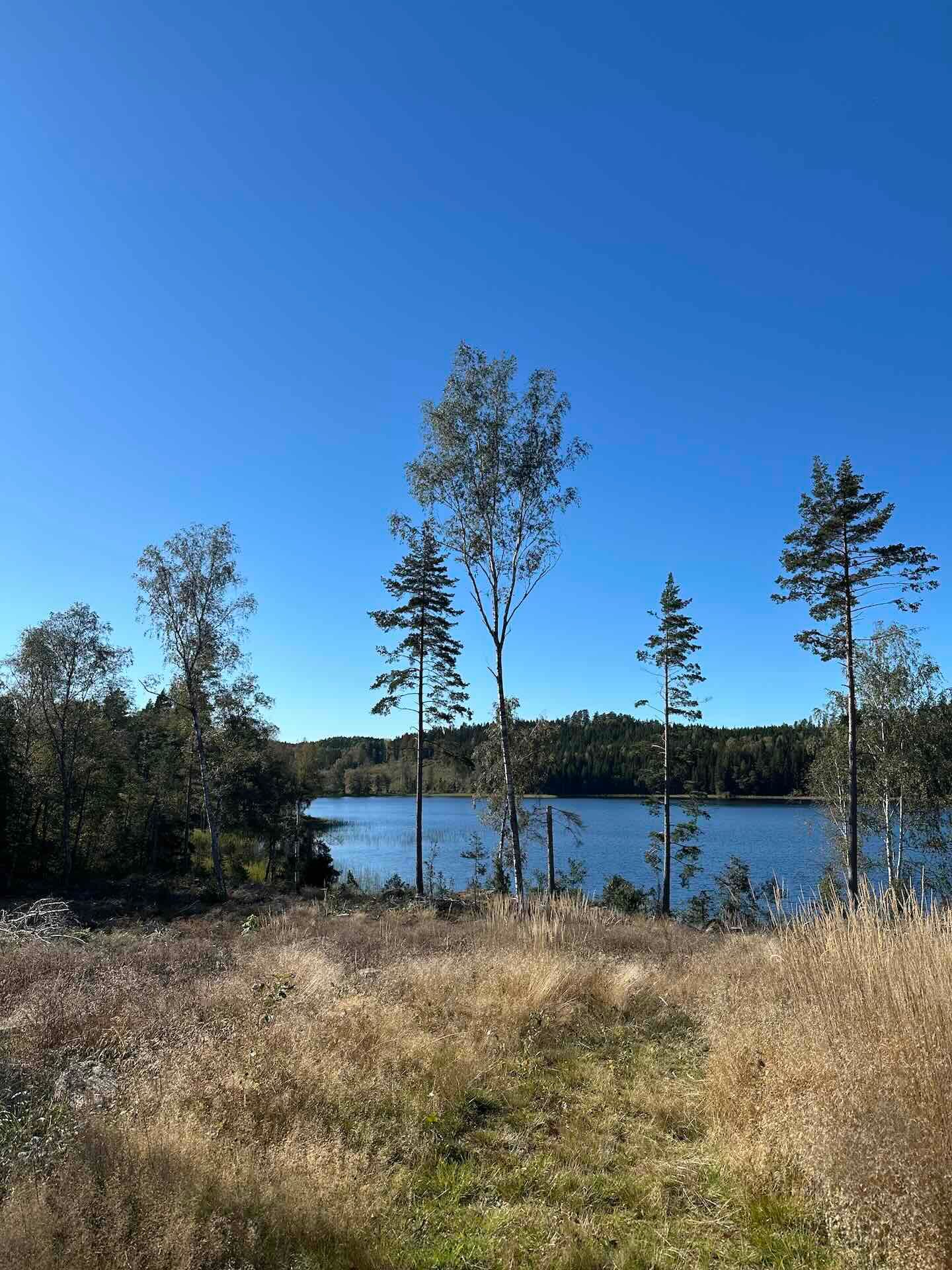 Viertägige Wanderung durch Schweden entlang des Pilgrimsleden Dalsland