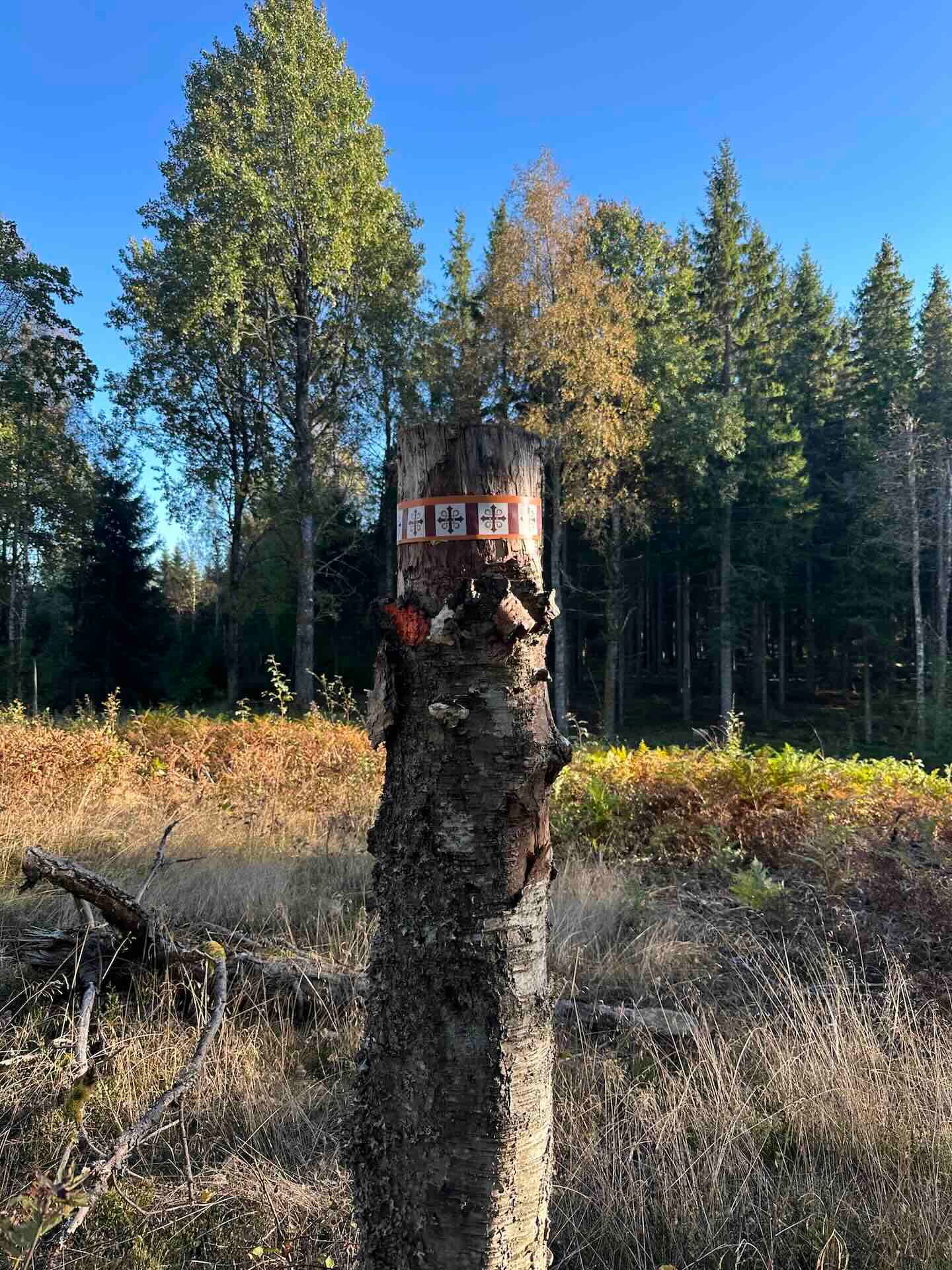 Viertägige Wanderung durch Schweden entlang des Pilgrimsleden Dalsland