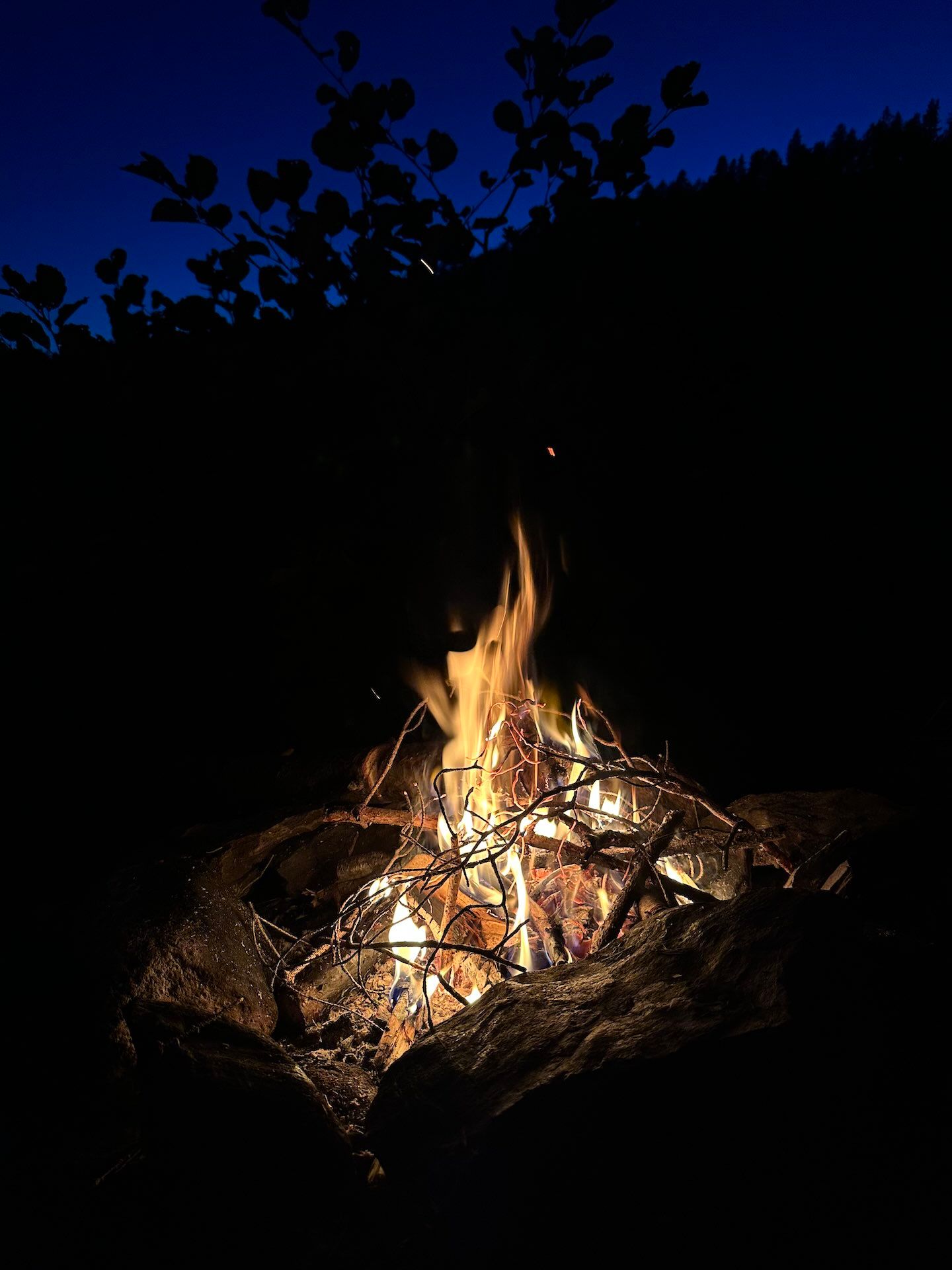 Viertägige Wanderung durch Schweden entlang des Pilgrimsleden Dalsland