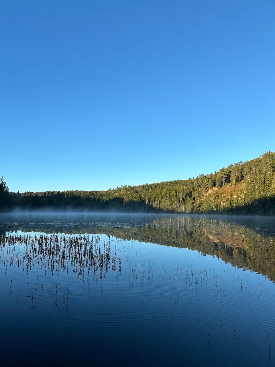 Viertägige Wanderung durch Schweden entlang des Pilgrimsleden Dalsland