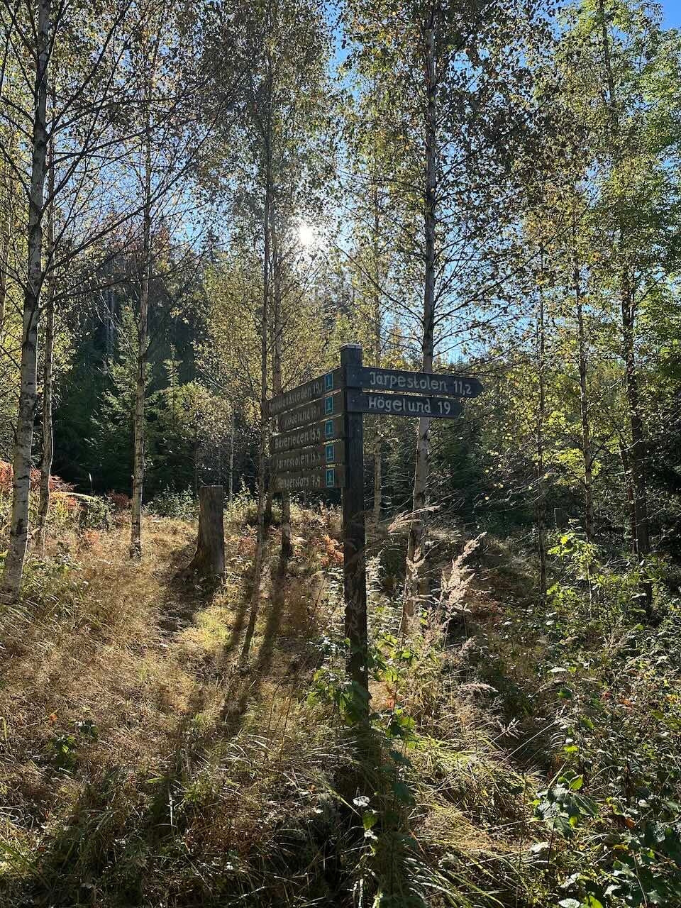 Viertägige Wanderung durch Schweden entlang des Pilgrimsleden Dalsland