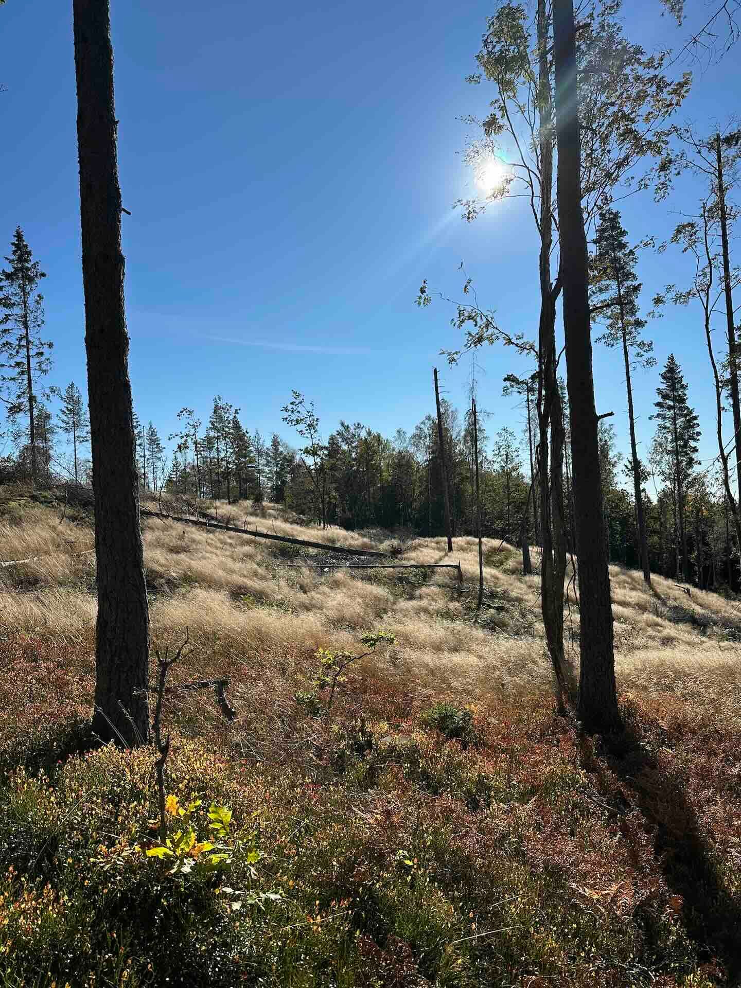 Viertägige Wanderung durch Schweden entlang des Pilgrimsleden Dalsland