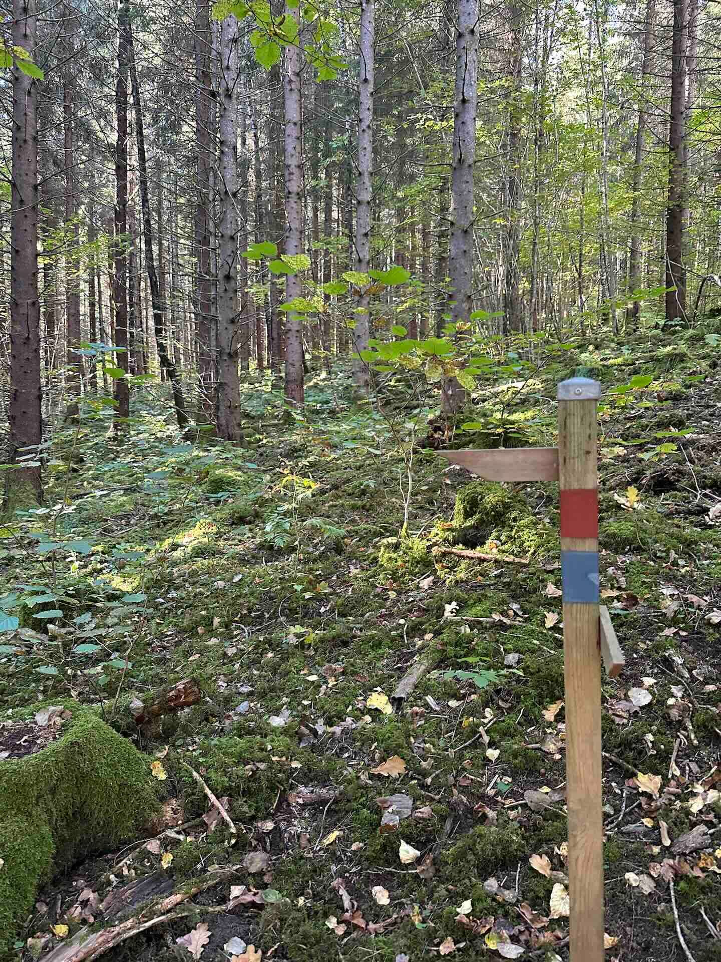 Viertägige Wanderung durch Schweden entlang des Pilgrimsleden Dalsland