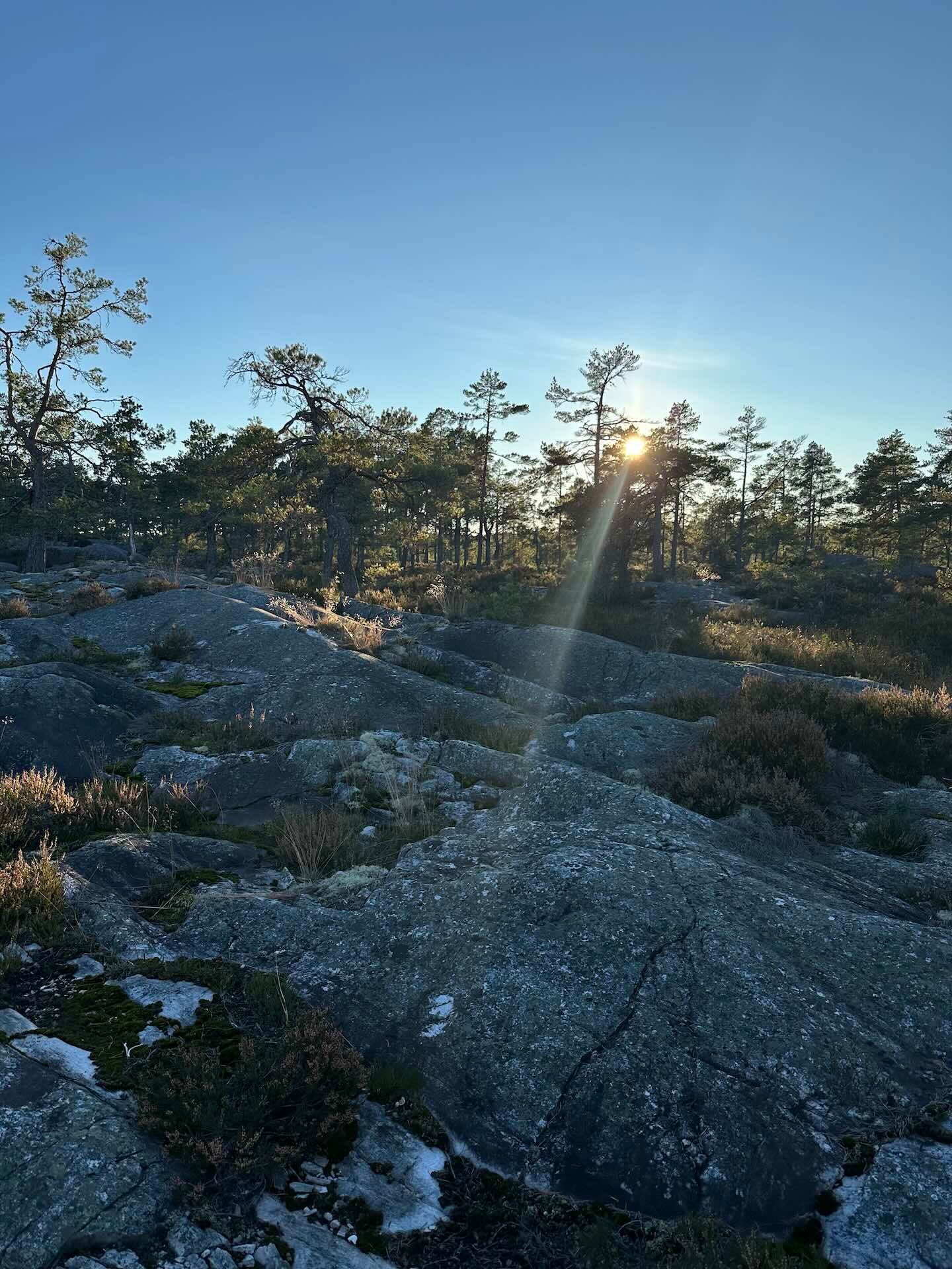 Viertägige Wanderung durch Schweden entlang des Pilgrimsleden Dalsland