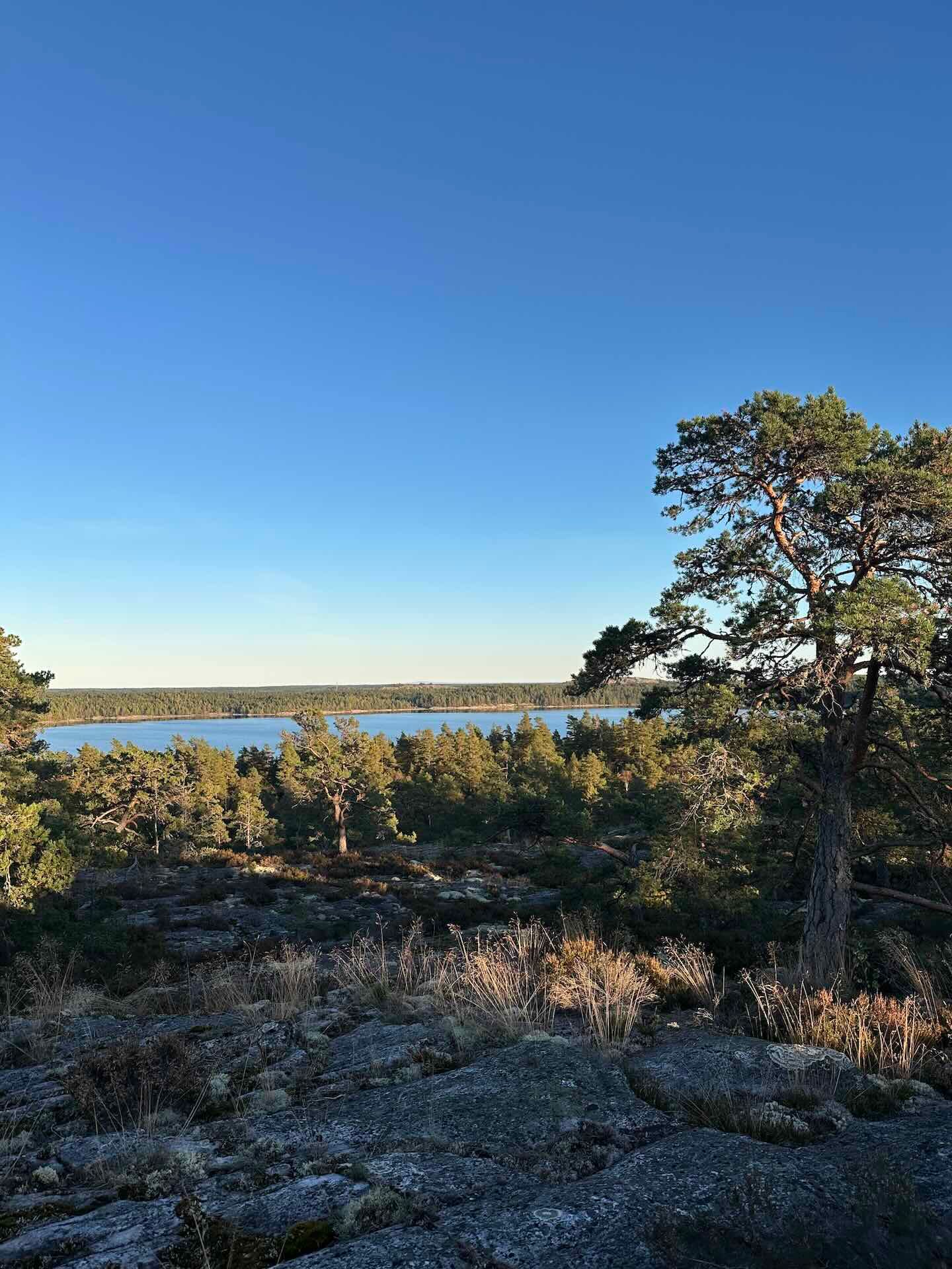 Viertägige Wanderung durch Schweden entlang des Pilgrimsleden Dalsland