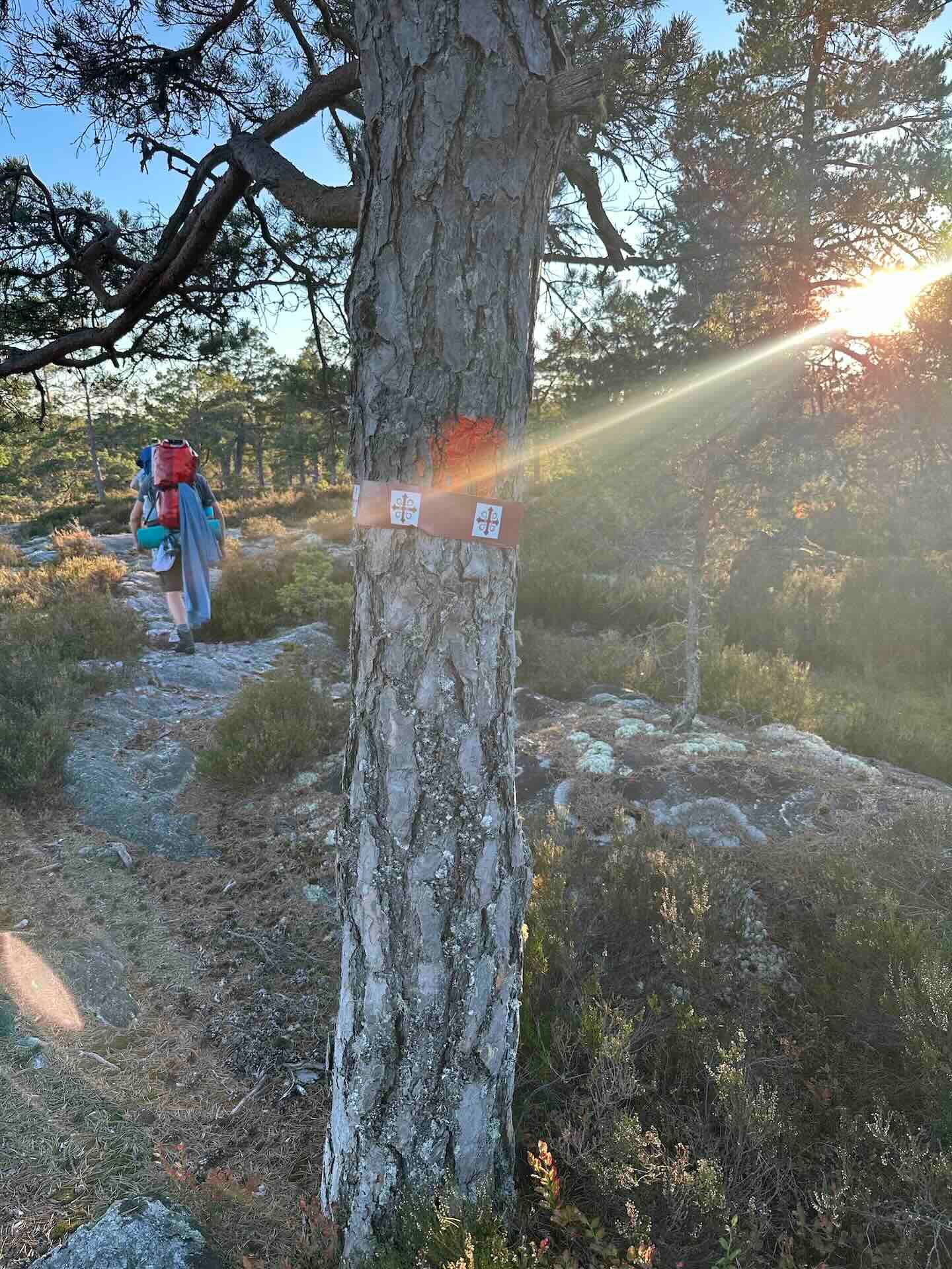 Viertägige Wanderung durch Schweden entlang des Pilgrimsleden Dalsland