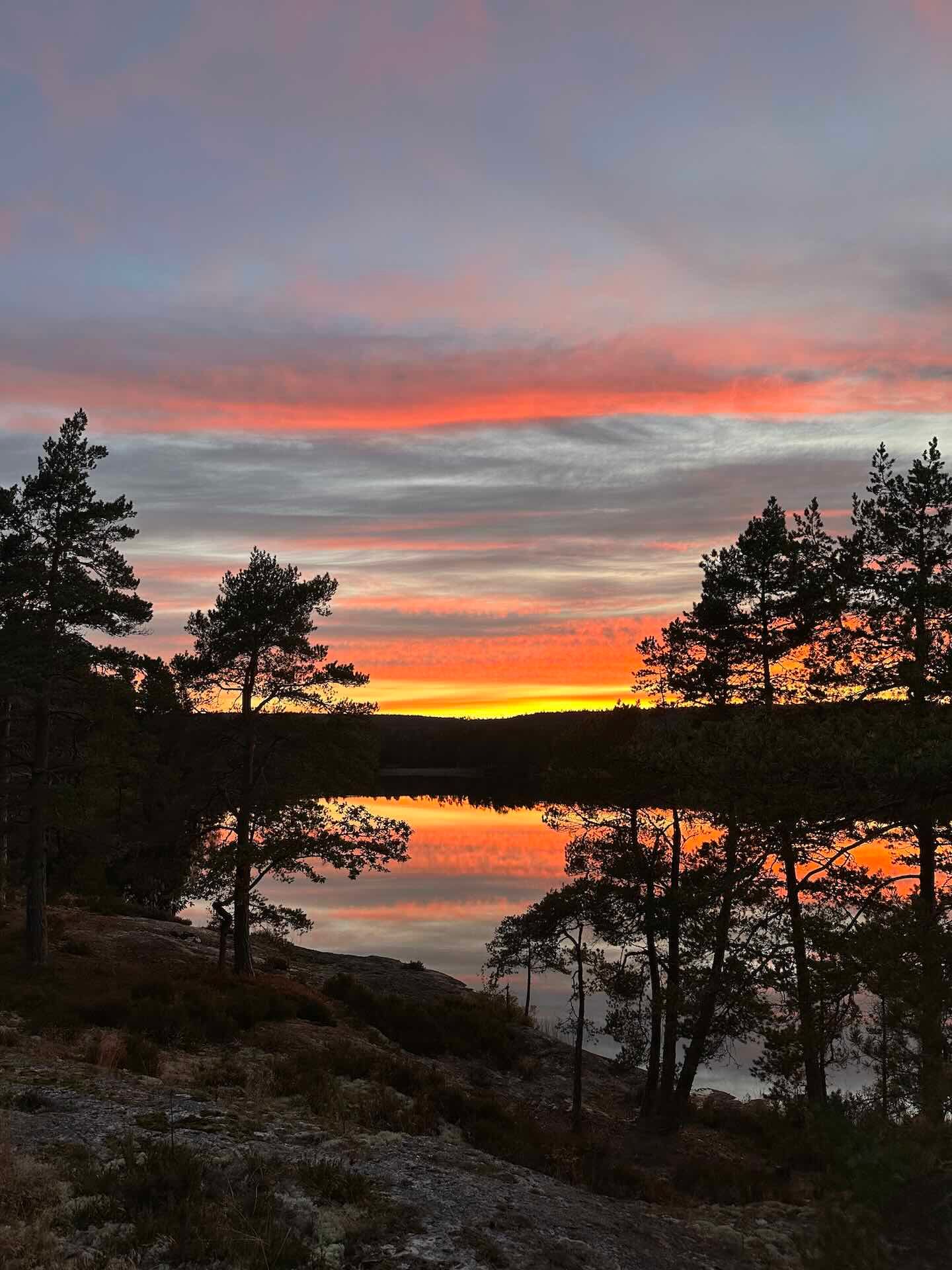 Viertägige Wanderung durch Schweden entlang des Pilgrimsleden Dalsland