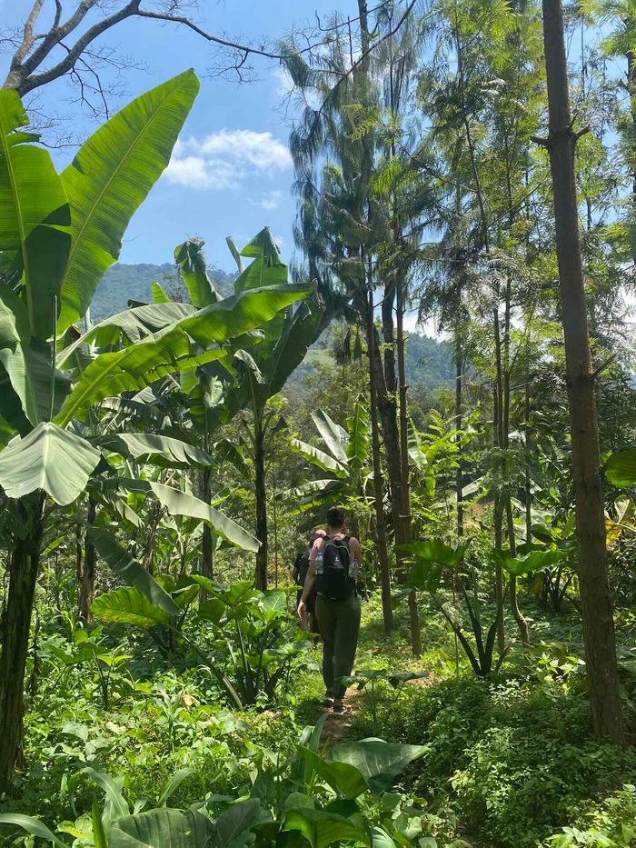 Arusha - Wanderung mit Wasserfällen und Sicht auf den Mount Meru