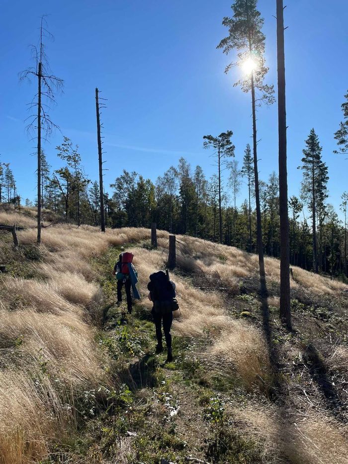 Viertägige Wanderung durch Schweden entlang des Pilgrimsleden Dalsland