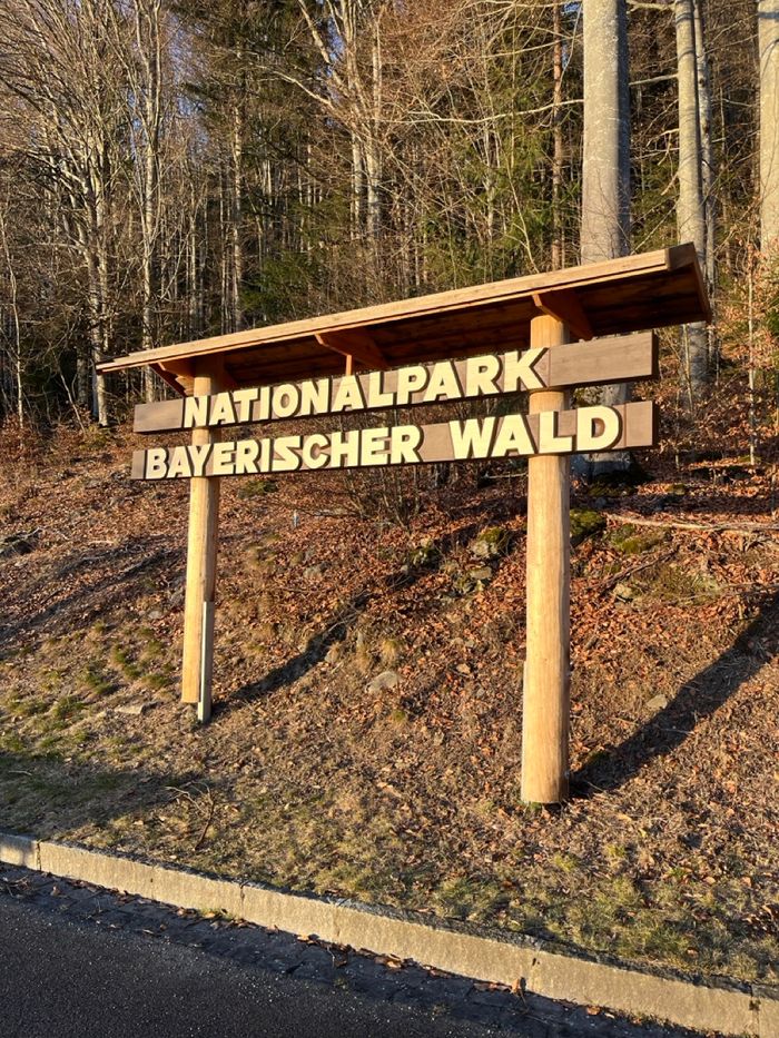 Drei Tage Wandern im Bayerischen Wald: Unsere Tour mit dem Camper