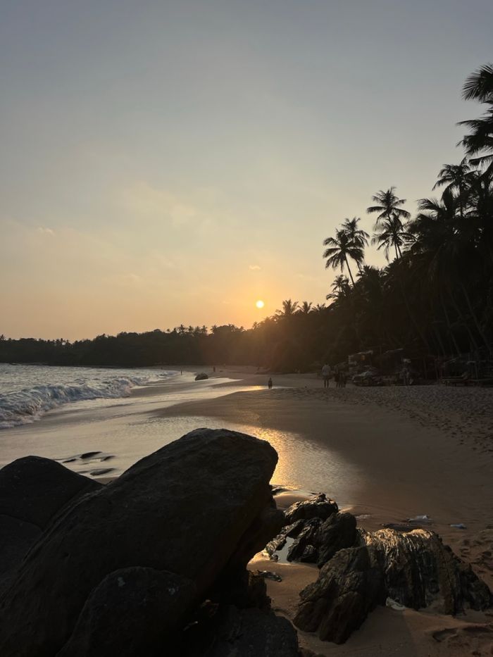 Sri Lanka: Reiseroute, Aktivitäten und Geheimtipps für den Süden