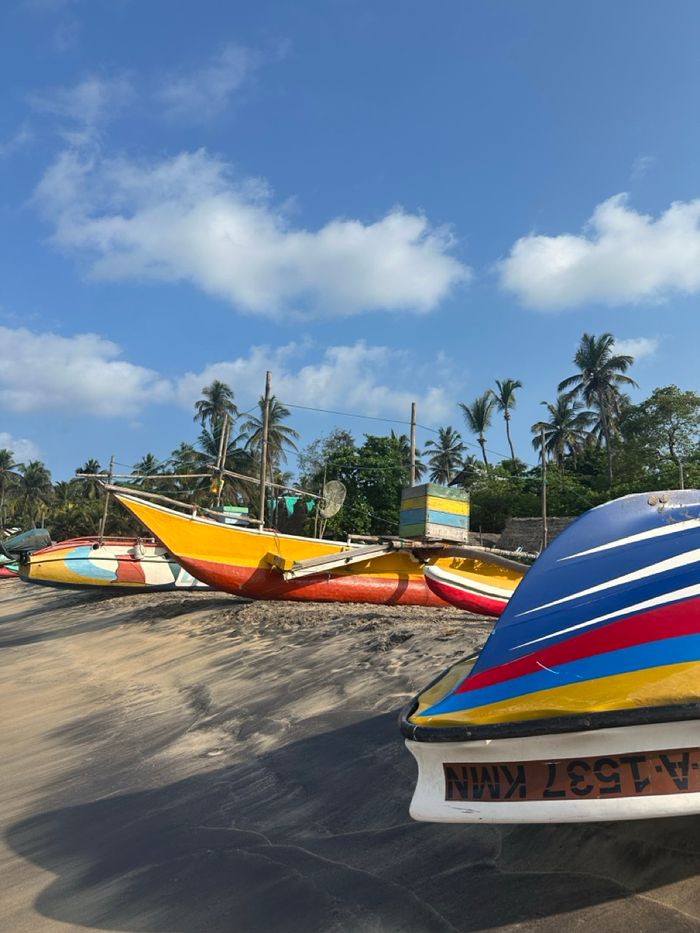 Die Ostküste Sri Lankas: Aktivitäten & Foodspots