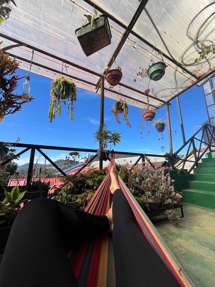 Beste Low Budget-Hotels in Sri Lanka